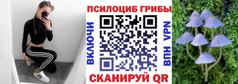Купить закладки  Дальнегорск  Галлюциногенные грибы Cubensis 