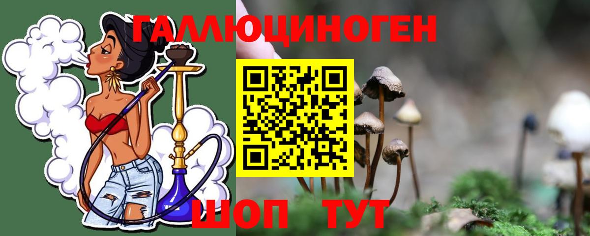 Галлюциногенные грибы мухоморы  Псилоцибиновые грибы Cubensis  где купить наркоту  Вход с VPN  Дальнегорск 