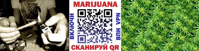 Купить где  Дальнегорск  Канабис White Widow 